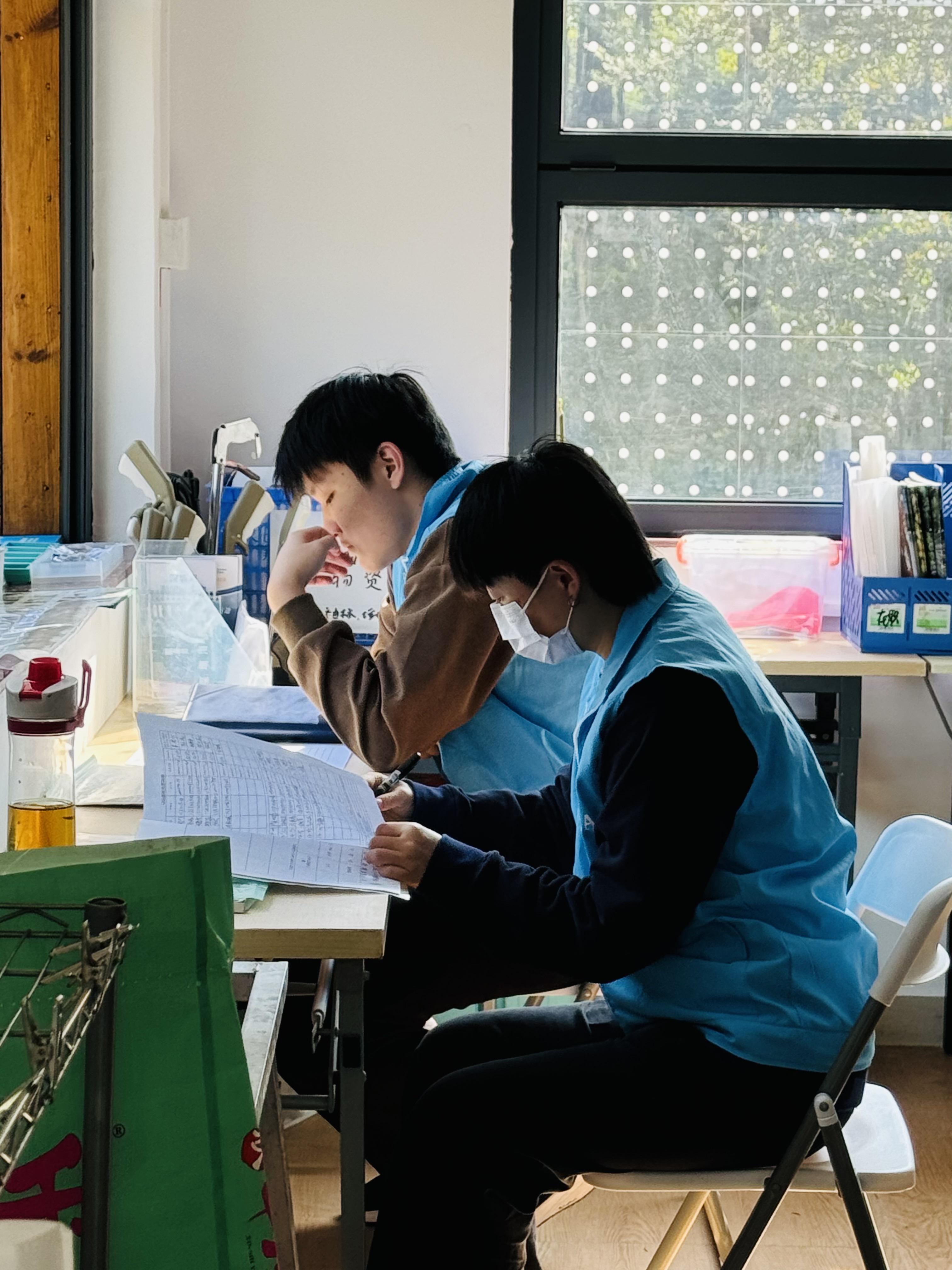 Blue Dolphin Plushie